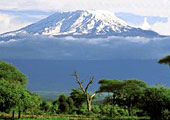 Kilimanjaro